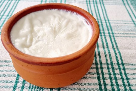 Το γιαούρτι προστατεύει από τον καρκίνο του παχέος εντέρου